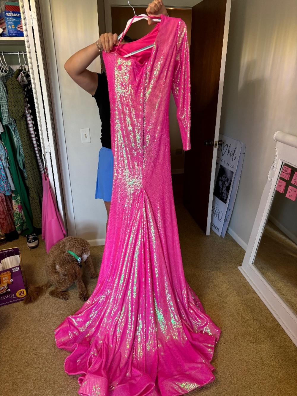 Pageant/prom dress